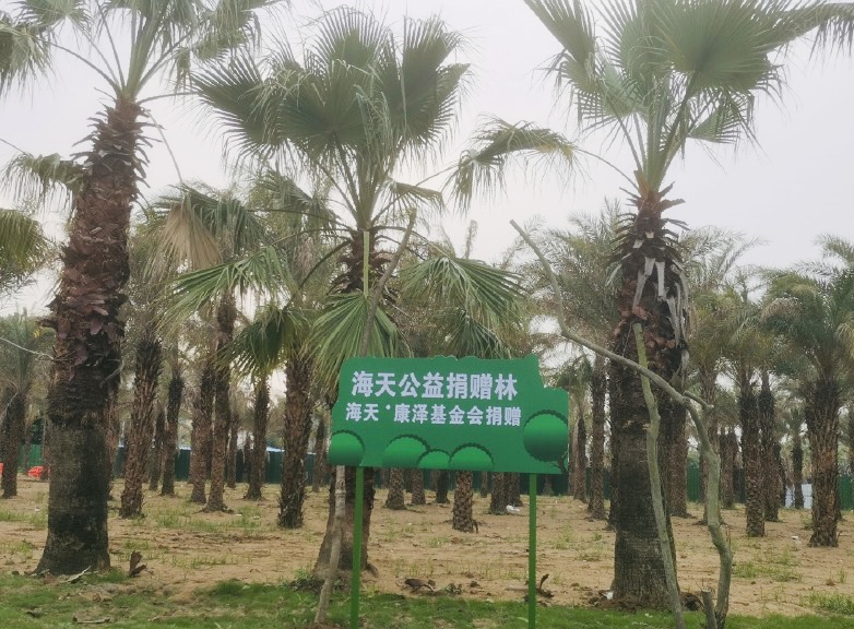 2022年1月，海天味业启动高明区造林绿化公益项目，分批次捐赠苗木。