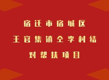 宿迁市宿城区王官集镇仝李村结对帮扶项目